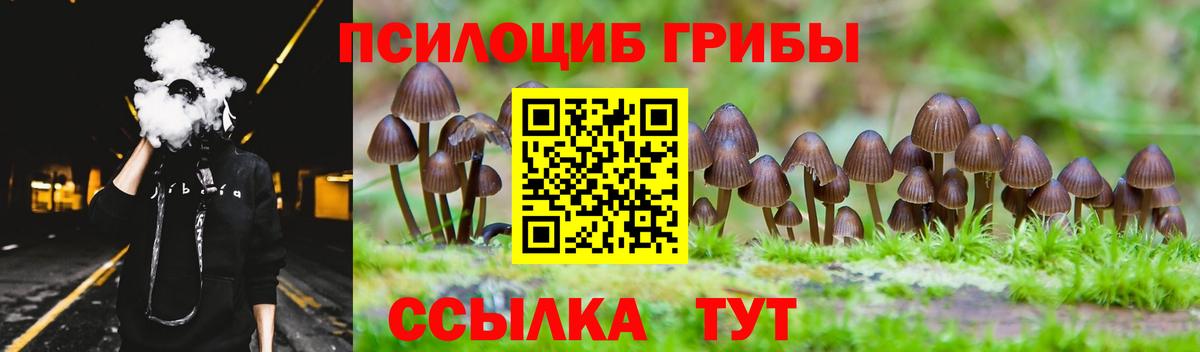 Шебекино  Галлюциногенные грибы прущие грибы  Вход с VPN 